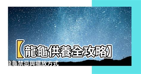 龍龜供養|如何供養龍龜？簡單3步驟開始招財 